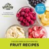 Augason Farms Freeze Dried and Dehydrated Fruit Variety Pail, 86 Servings, Emergency Food - Image 2