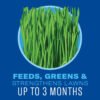 BioAdvanced 5 In 1 Weed and Feed, Granules, 24 lbs - Image 4