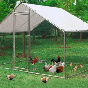Large 10FT Walk-In Metal Chicken Coop – Heavy Duty Poultry Run with Waterproof & Anti-UV Cover for Chickens, Ducks & Rabbits