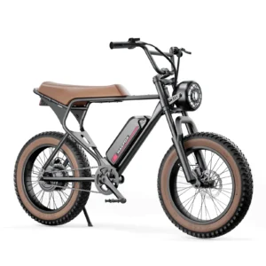 MACFOX 500W Electric Bike with 20" Fat Tires, 48V 10.4Ah Removable Battery, Retro Moped-Style Ebike, Up to 20 MPH & 40-Mile Range