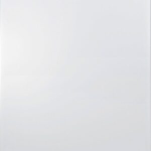 Bosch – 300 Series 24″ Recessed Handle Dishwasher with Stainless Steel Tub – White