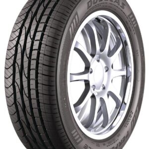 Douglas Performance 205/60R15 91H All-Season Tire